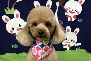 9月のお友達☆