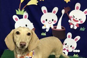 9月のお友達☆