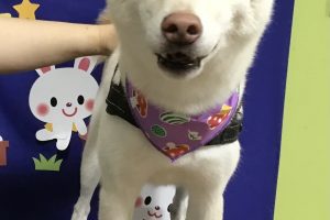 ９月のお友達☆