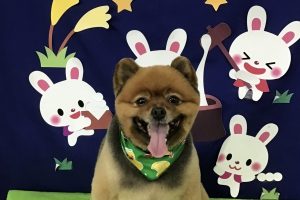 9月のお友達☆
