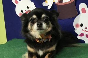 9月のお友達☆