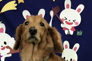 9月のお友達☆