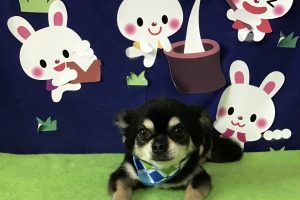 9月のお友達☆