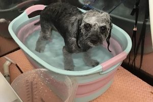 ９月のお友達☆