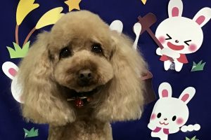 9月のお友達☆
