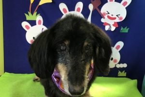 9月のお友達☆