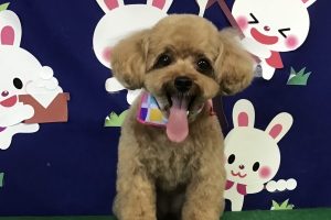 9月のお友達☆