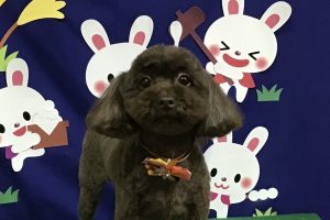 9月のお友達☆