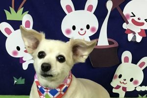 9月のお友達☆