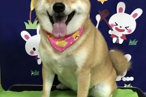 9月のお友達☆