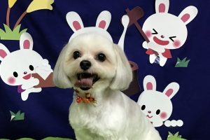 ９月のお友達☆