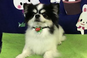 ９月のお友達☆