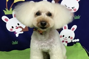 ９月のお友達☆