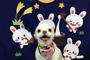 ９月のお友達☆