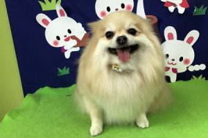 ９月のお友達☆