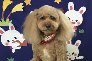 ９月のお友達☆
