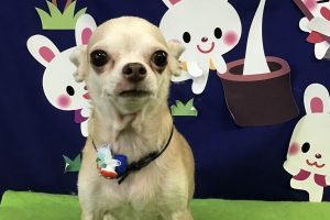 ９月のお友達☆