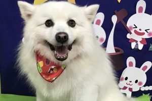 9月のお友達☆