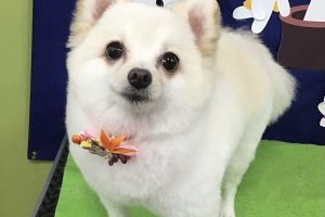 ９月のお友達☆
