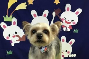 ９月のお友達☆