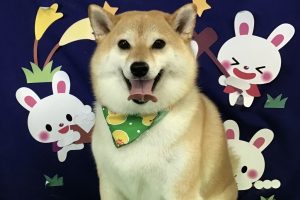 9月のお友達☆