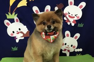 9月のお友達☆