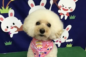 ９月のお友達☆