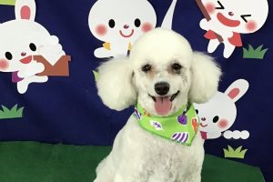 ９月のお友達☆