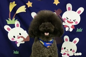 9月のお友達☆