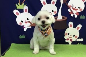 9月のお友達☆