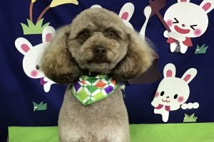 9月のお友達☆