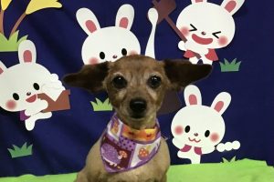 ９月のお友達☆