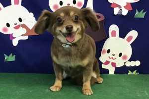 ９月のお友達☆