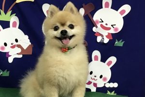 9月のお友達☆