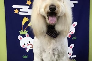 ９月のお友達☆