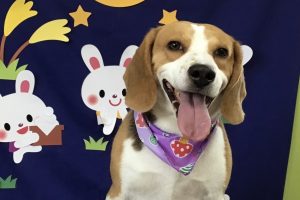 9月のお友達☆