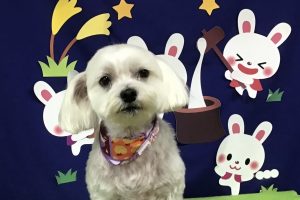９月のお友達☆
