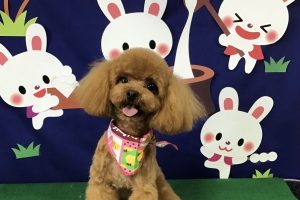 ９月のお友達☆