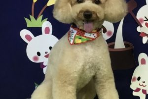 9月のお友達☆