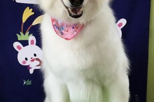 9月のお友達☆