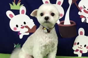 ９月のお友達☆