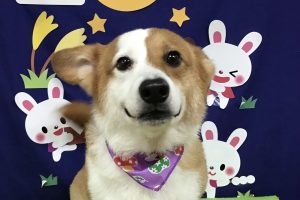 ９月のお友達☆
