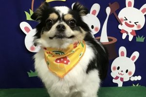 9月のお友達☆