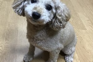 お泊り中☆