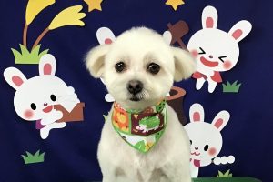 ９月のお友達☆
