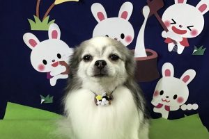 ９月のお友達☆