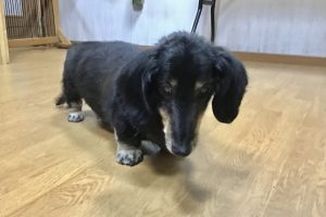 お泊まり中☆