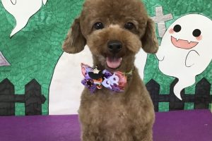 10月のお友達☆