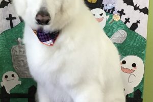 10月のお友達☆