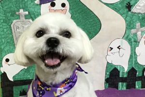 10月のお友達☆